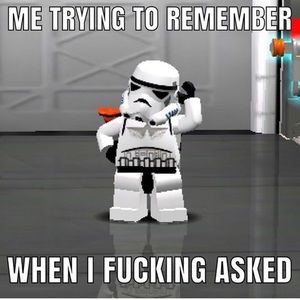 Meet your Posher, Kadin